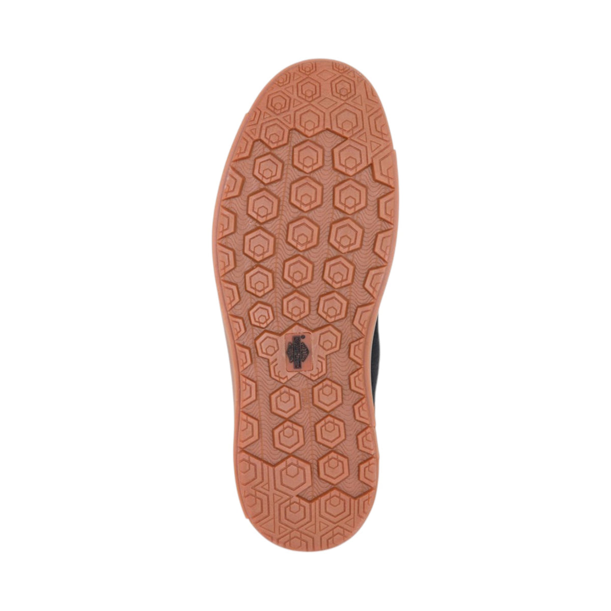 RAVYN LEOPARD