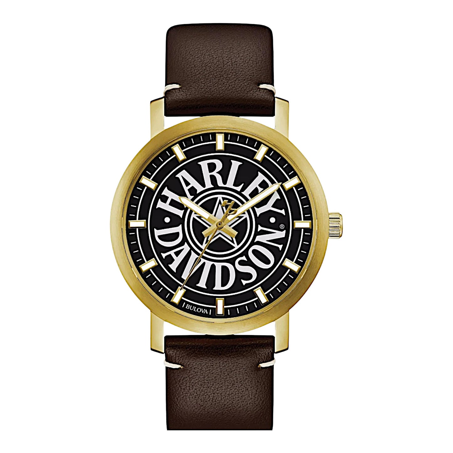 BROWN & GOLD LEATHER WATCH