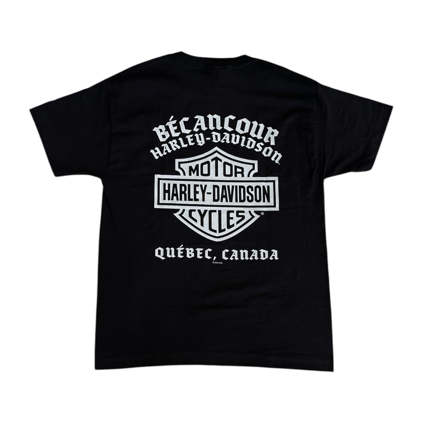 H-D ROAD WARRIORS