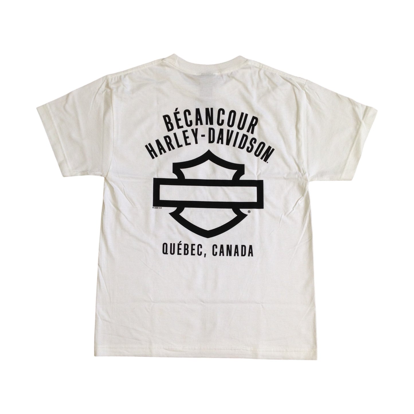 LIVE FREE MEN'S TEE
