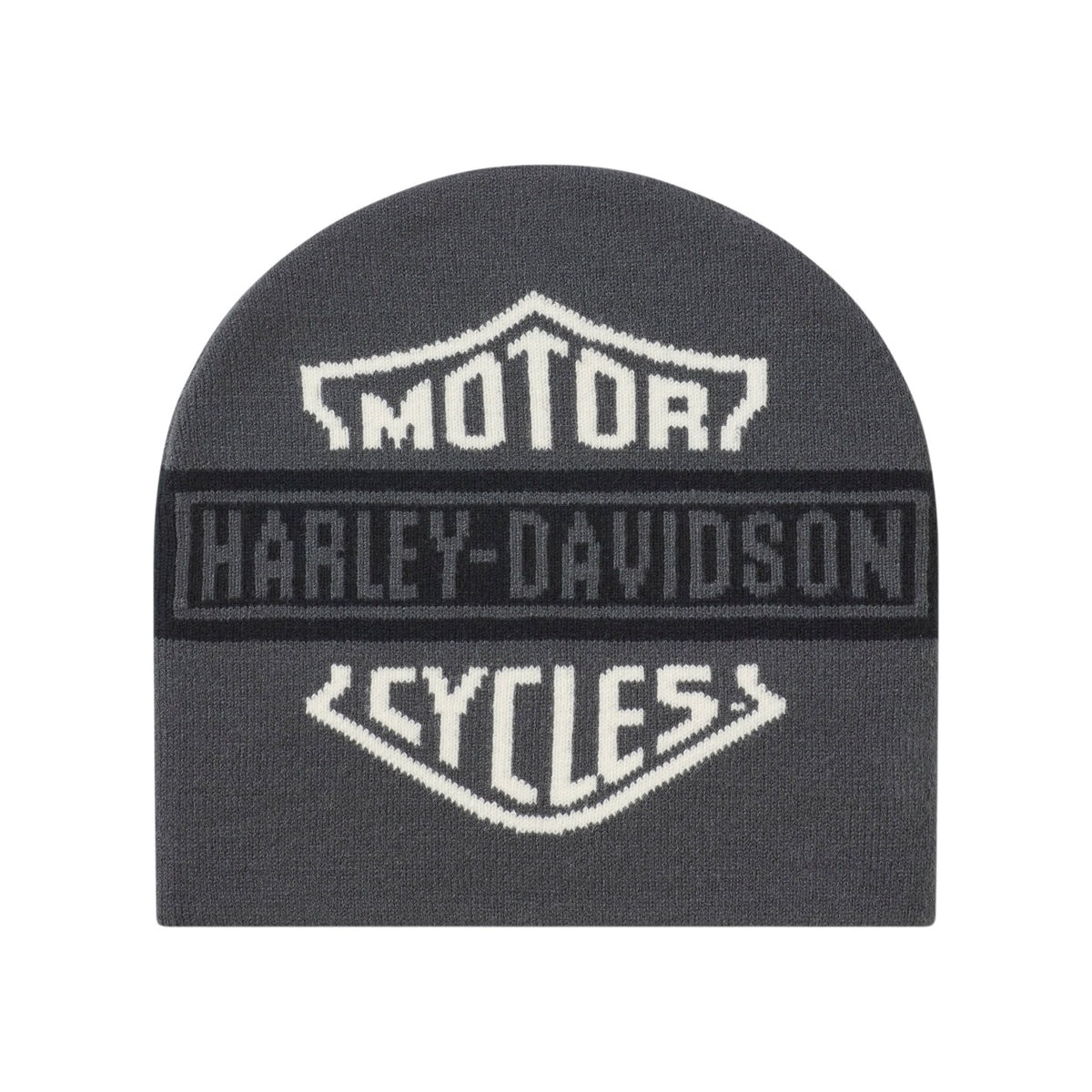 MEN'S H-D ESSENTIAL COLORBLOCK BEANIE - DARK GREY