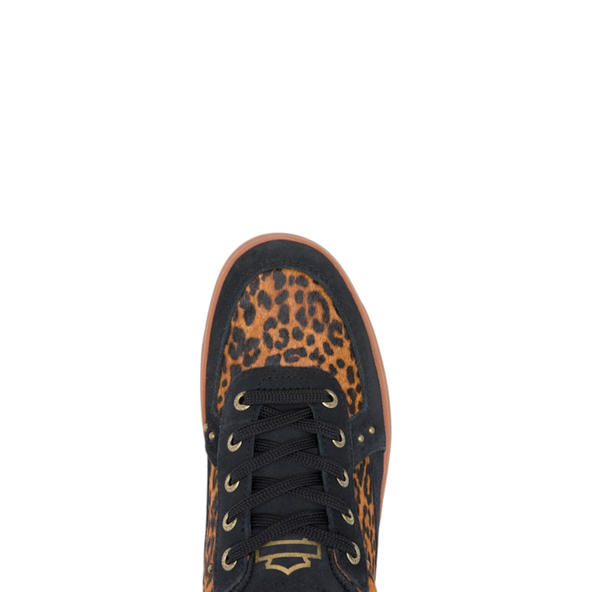 RAVYN LEOPARD