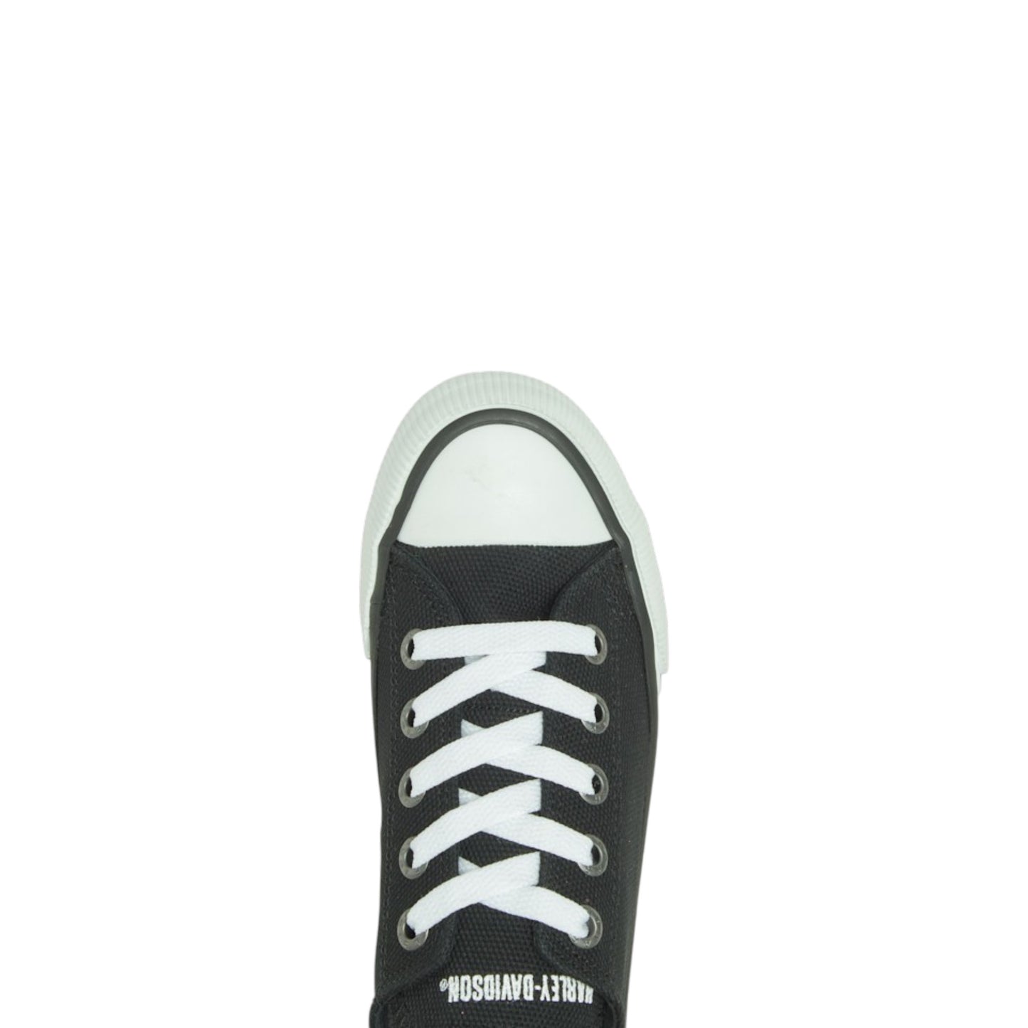 ZIA BLK CANVAS