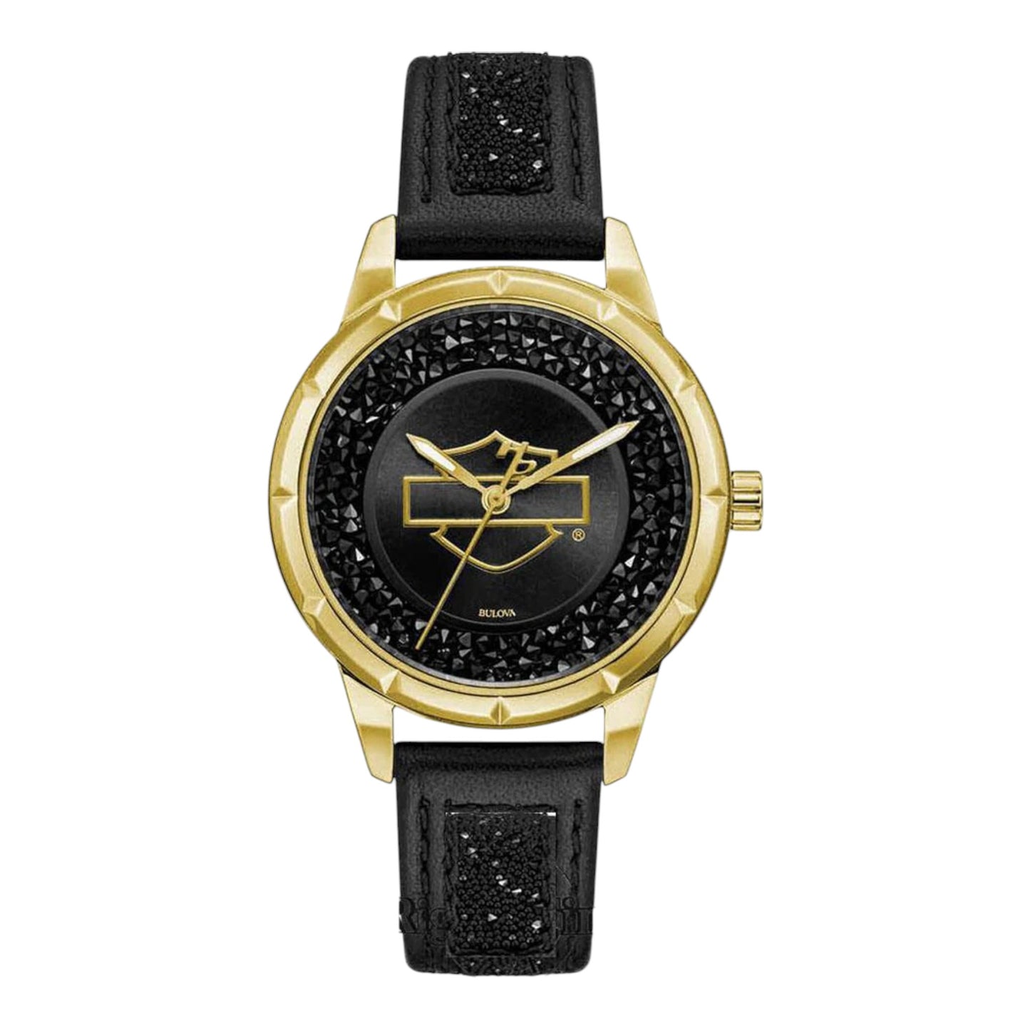 BLACK & GOLD