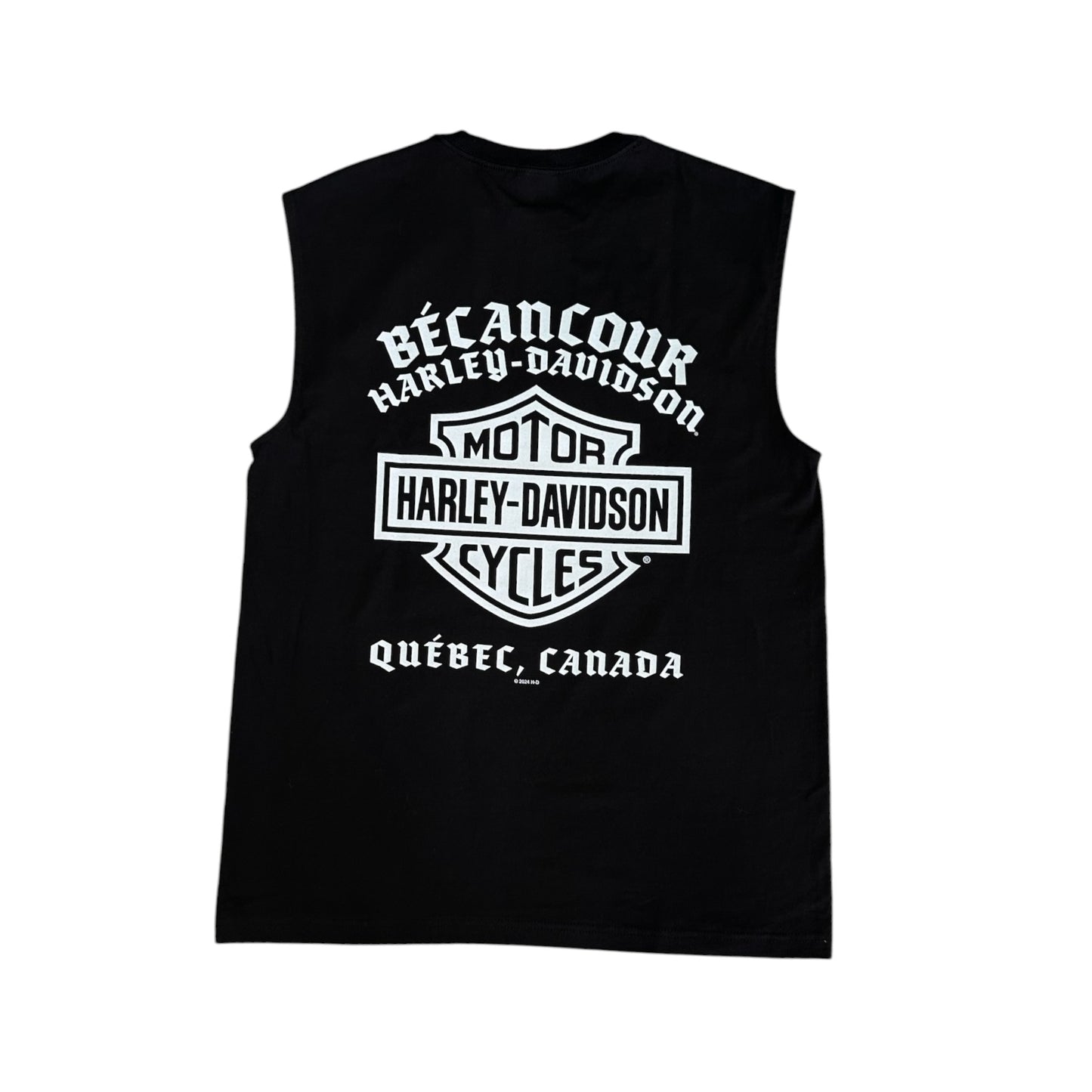 H-D ROCKIN
