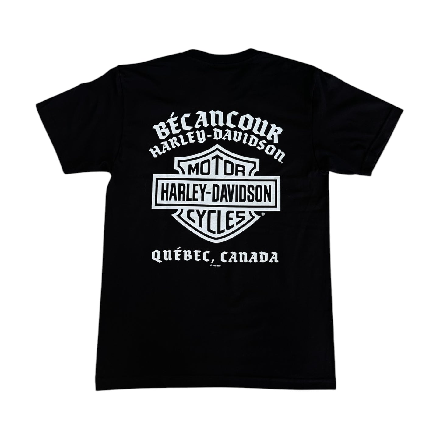 H-D DRAGON FIRE