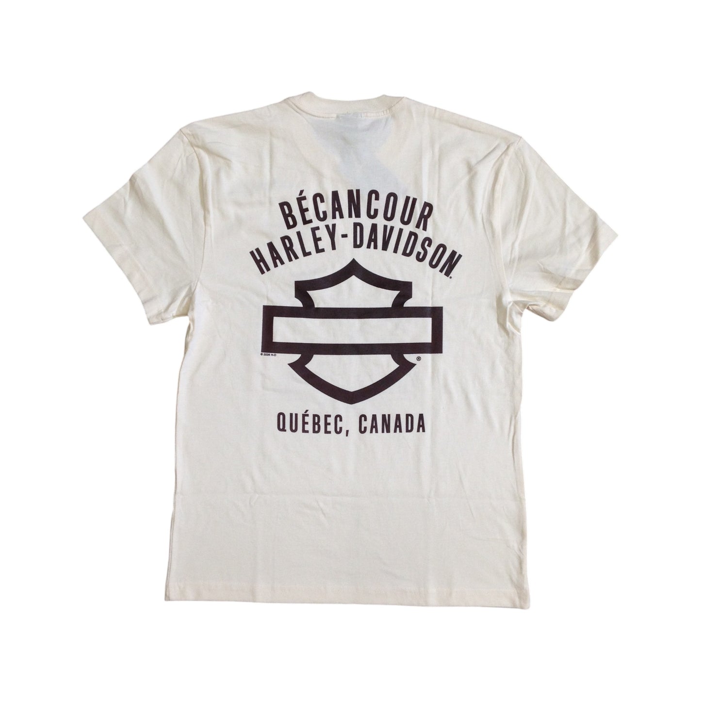 ALL SIN MEN'S TEE