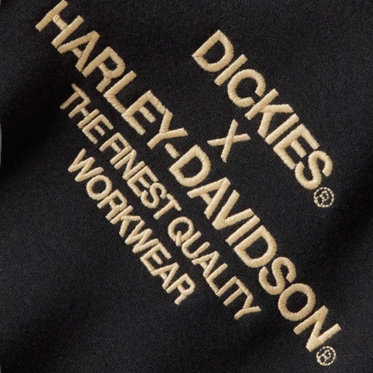 DICKIES X HARLEY-DAVIDSON EAGLE SLEEVE HOODIE - BLACK