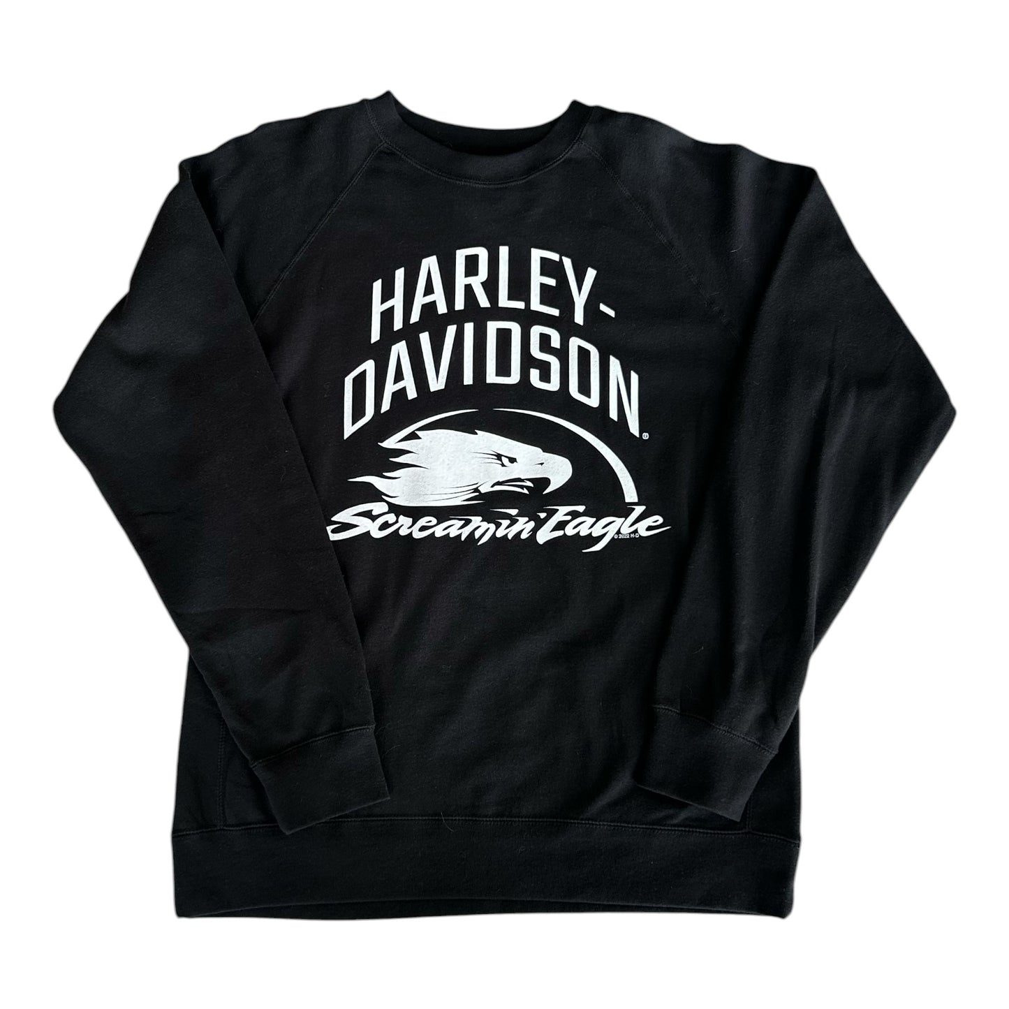 HD ARCHED EAGLE FLEECE