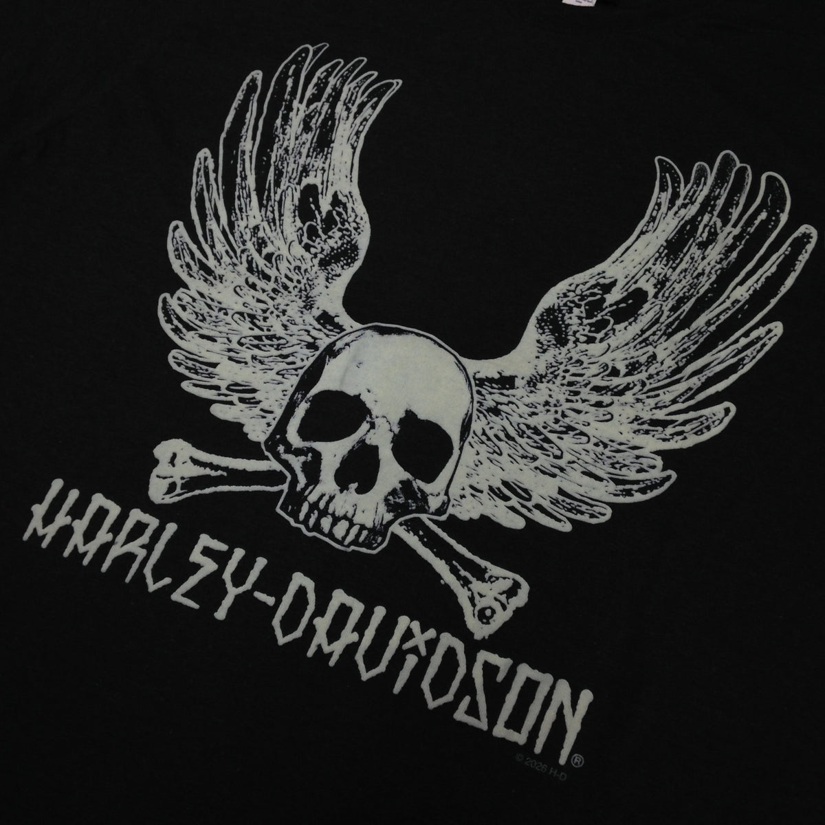 HD PUNK S/S