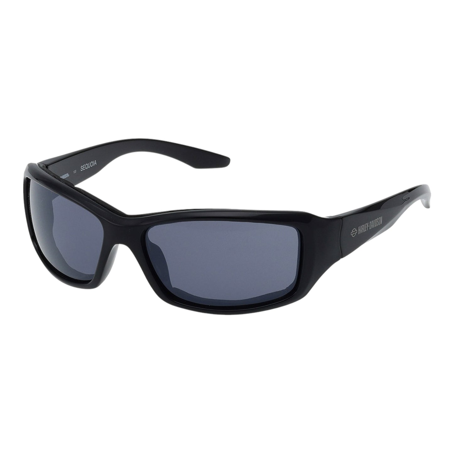 SUNGLASSES HZ0027