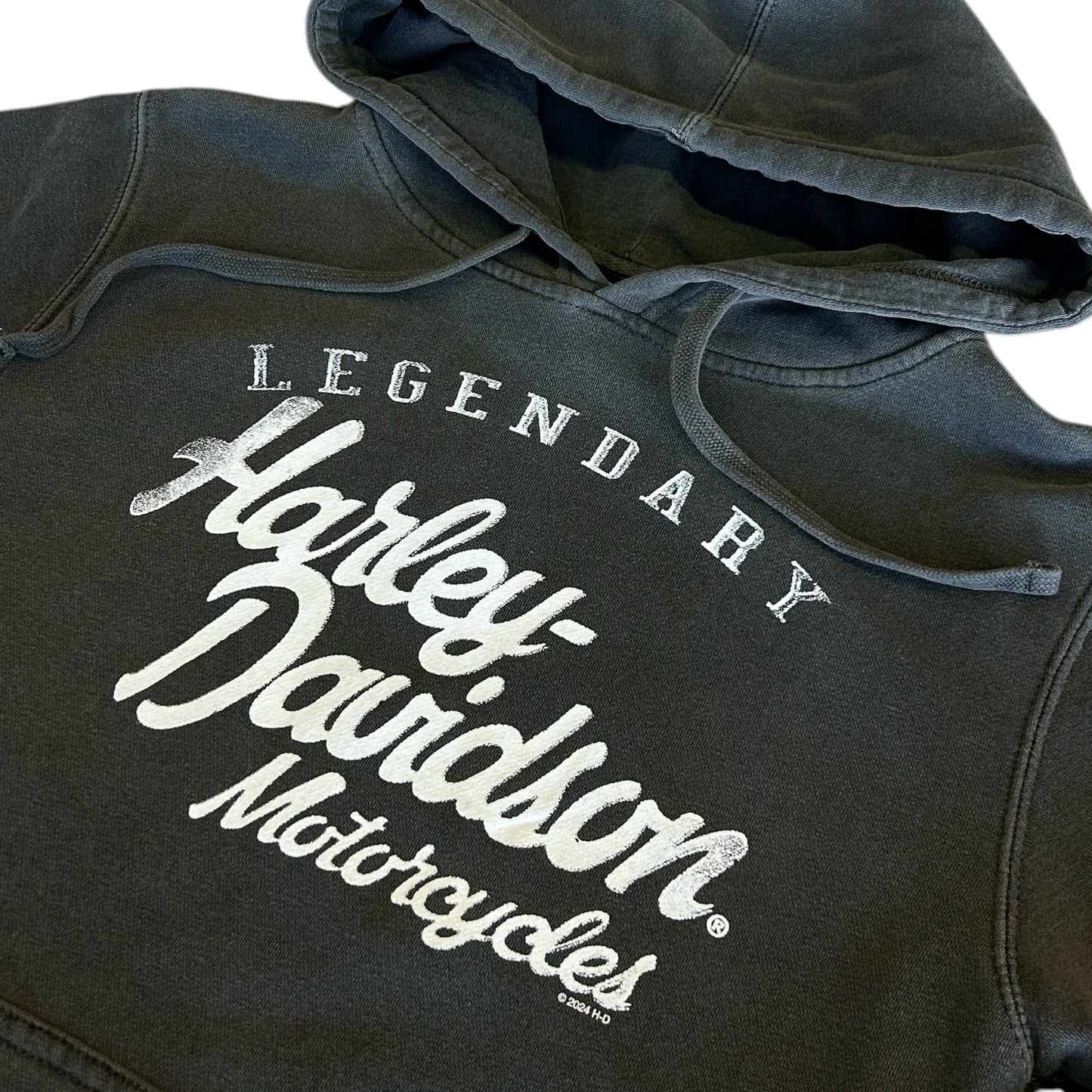 HD PAINTED TYPE HOODIE - GREY