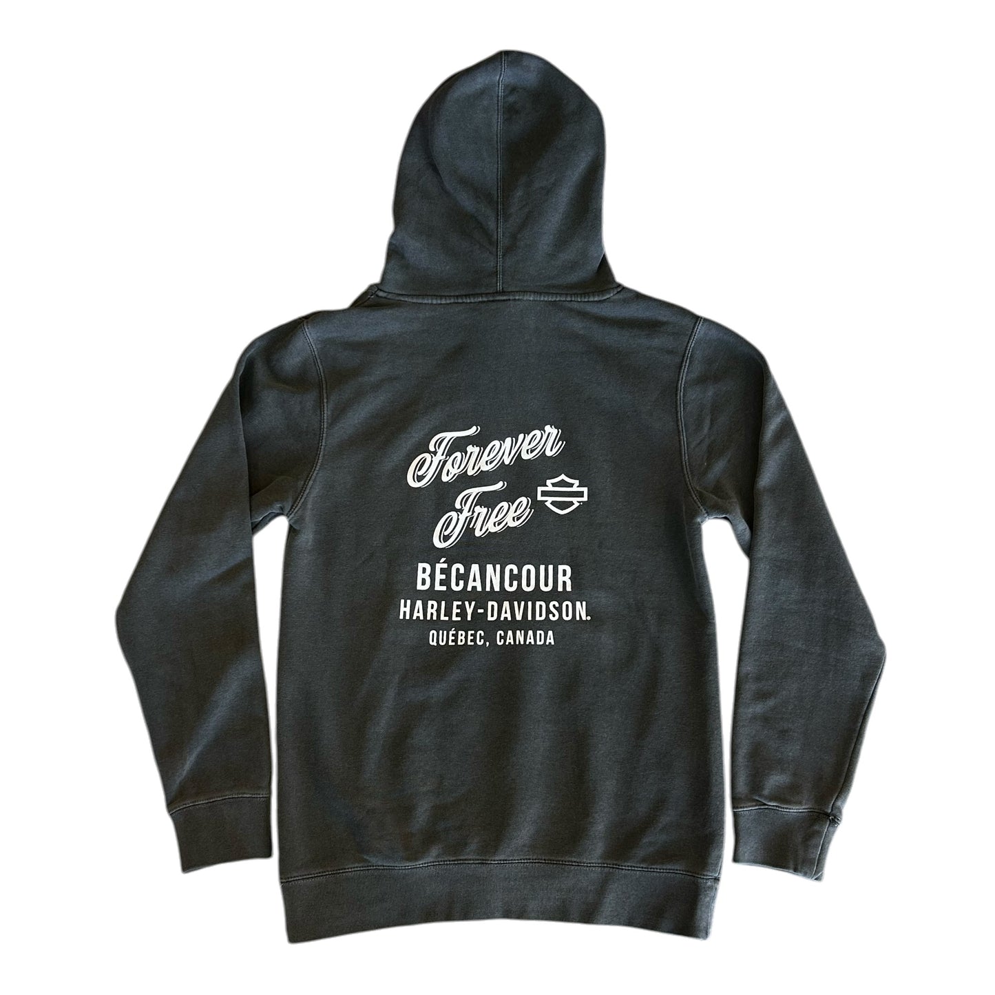 HD PAINTED TYPE HOODIE - GREY
