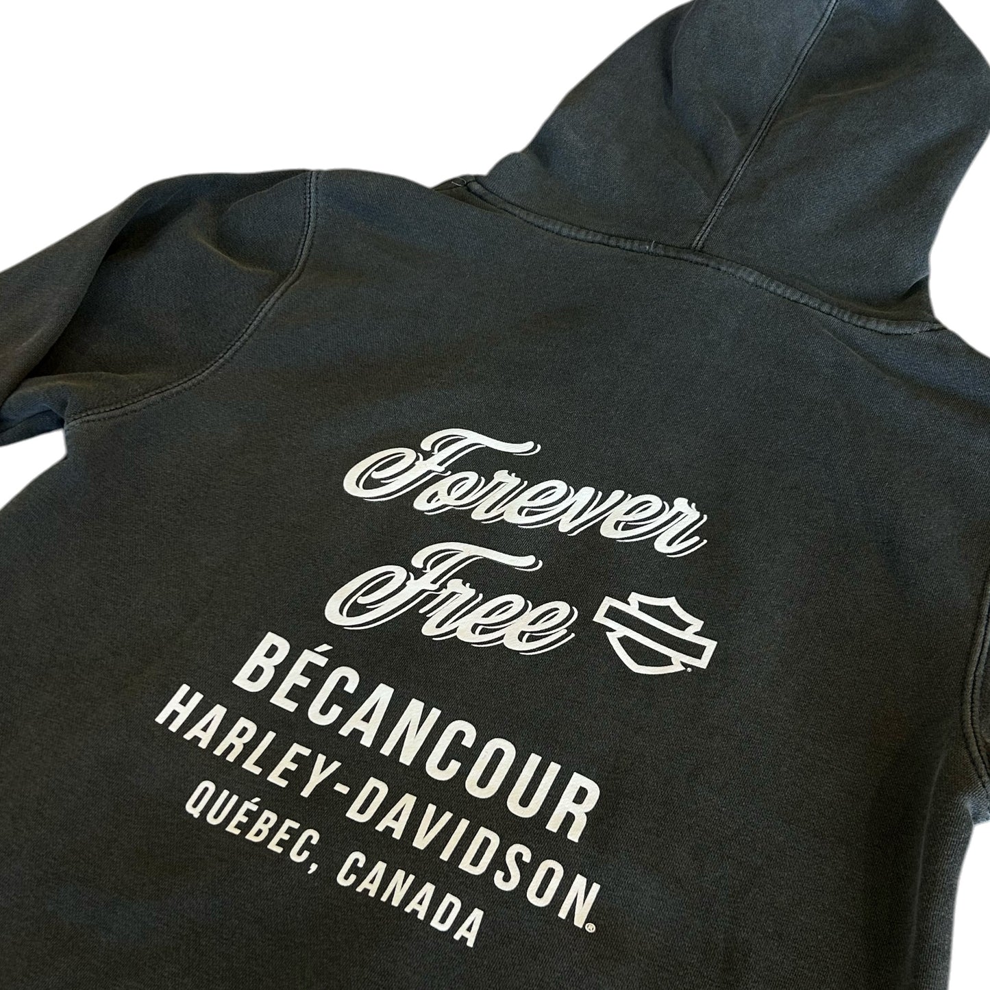 HD PAINTED TYPE HOODIE - GREY