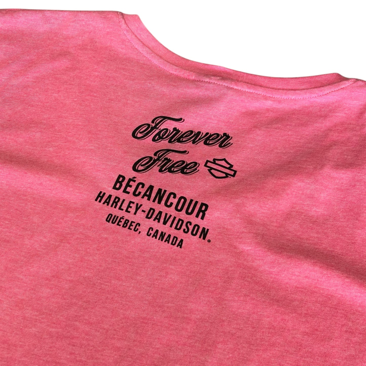HD WORN TEXT LONG SLEEVE - PINK