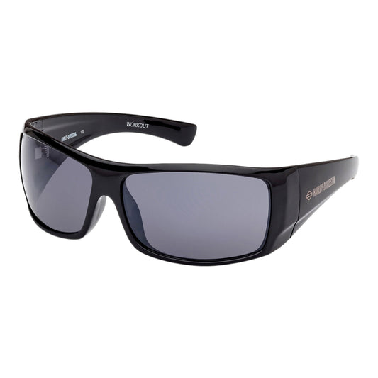 SUNGLASSES HZ001398