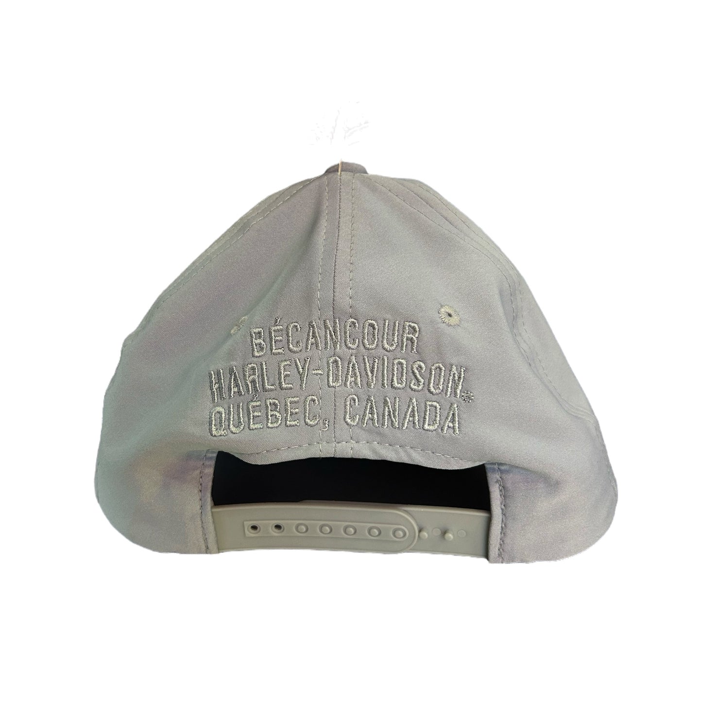 HD TONAL SKULL GREY HAT