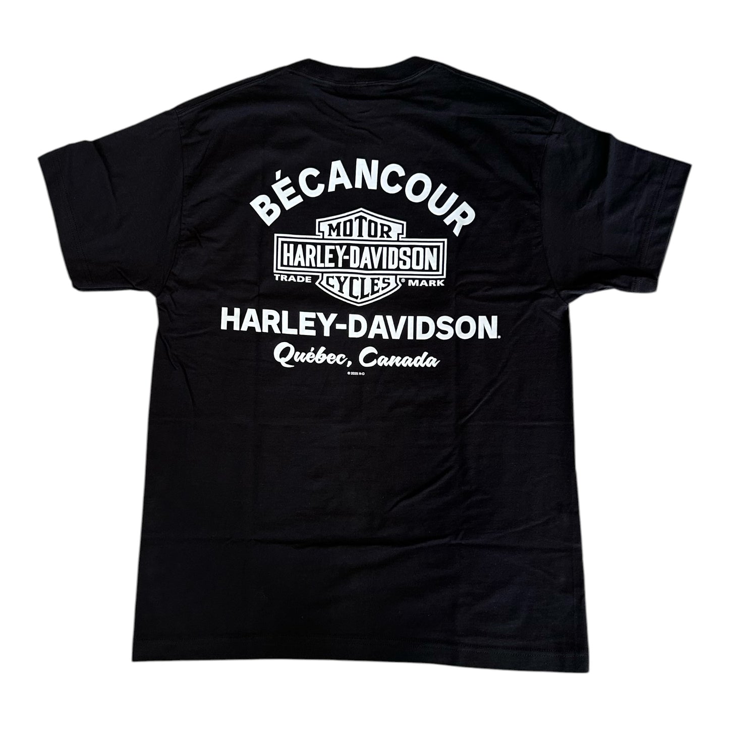 H-D DRAGON B&S TEE