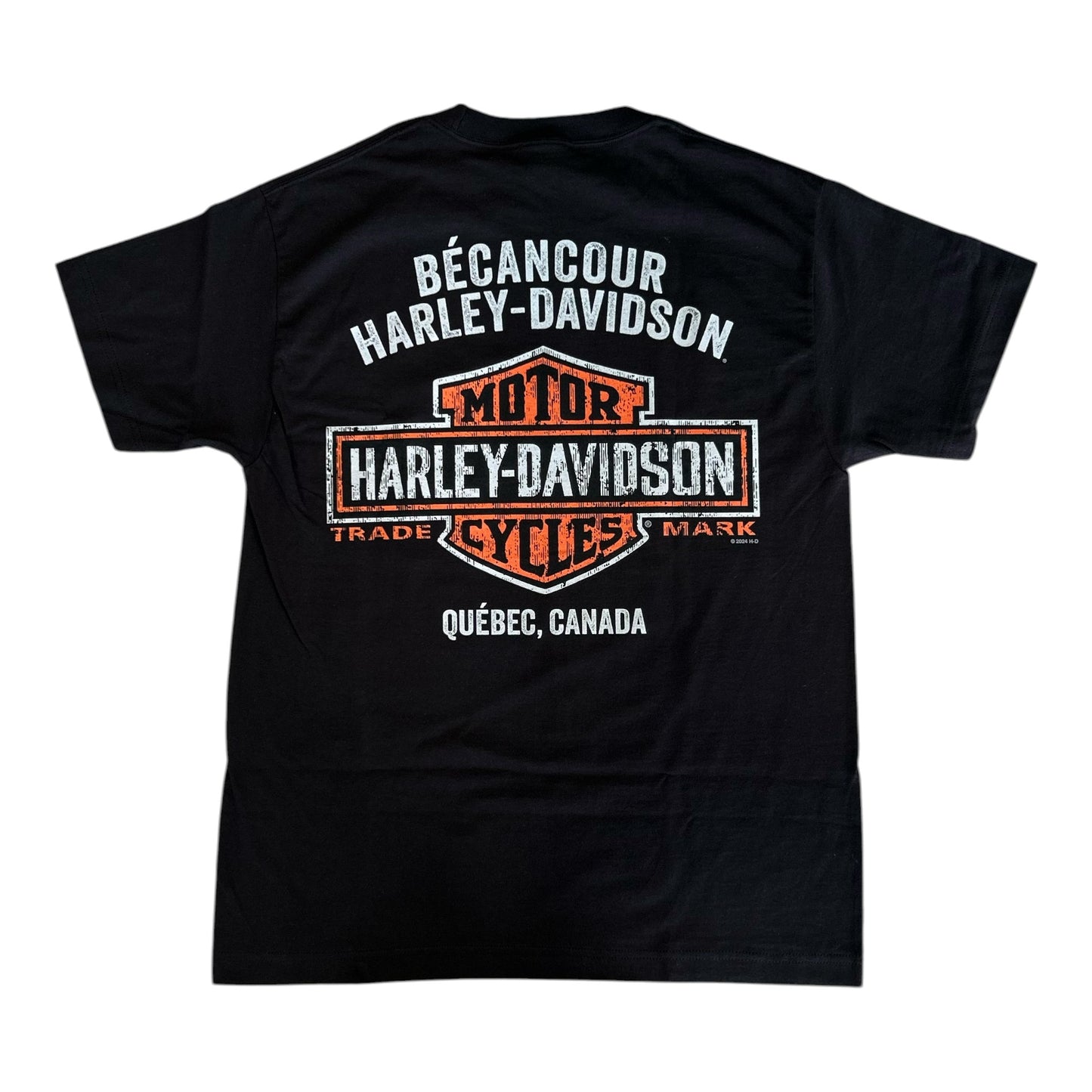 H-D AGAINST THE WIND TEE